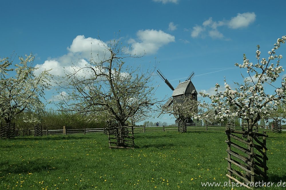 Bockwindmühle (LWL-Freilichtmuseum Detmold)