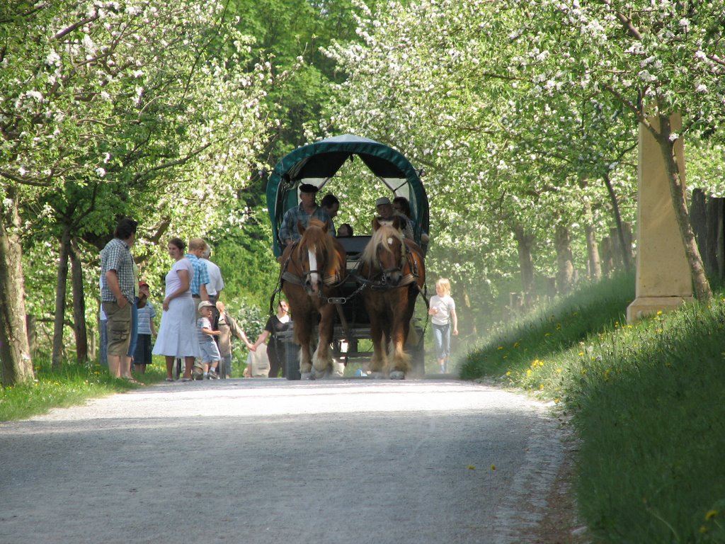 Detmold_Freilichtmuseum_Pferdekutsche