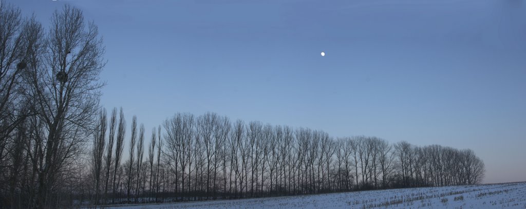 Winter moon