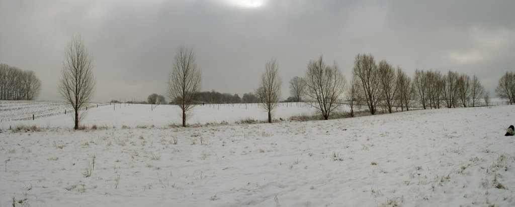 Landscape in The Snow