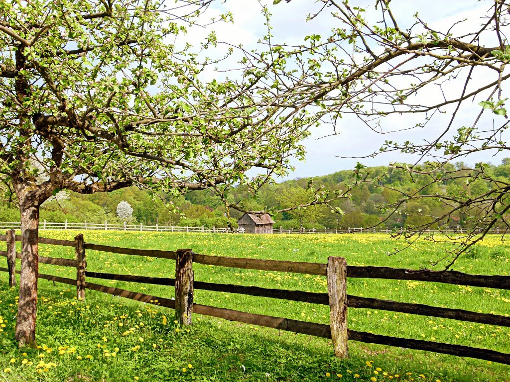 Frühling
