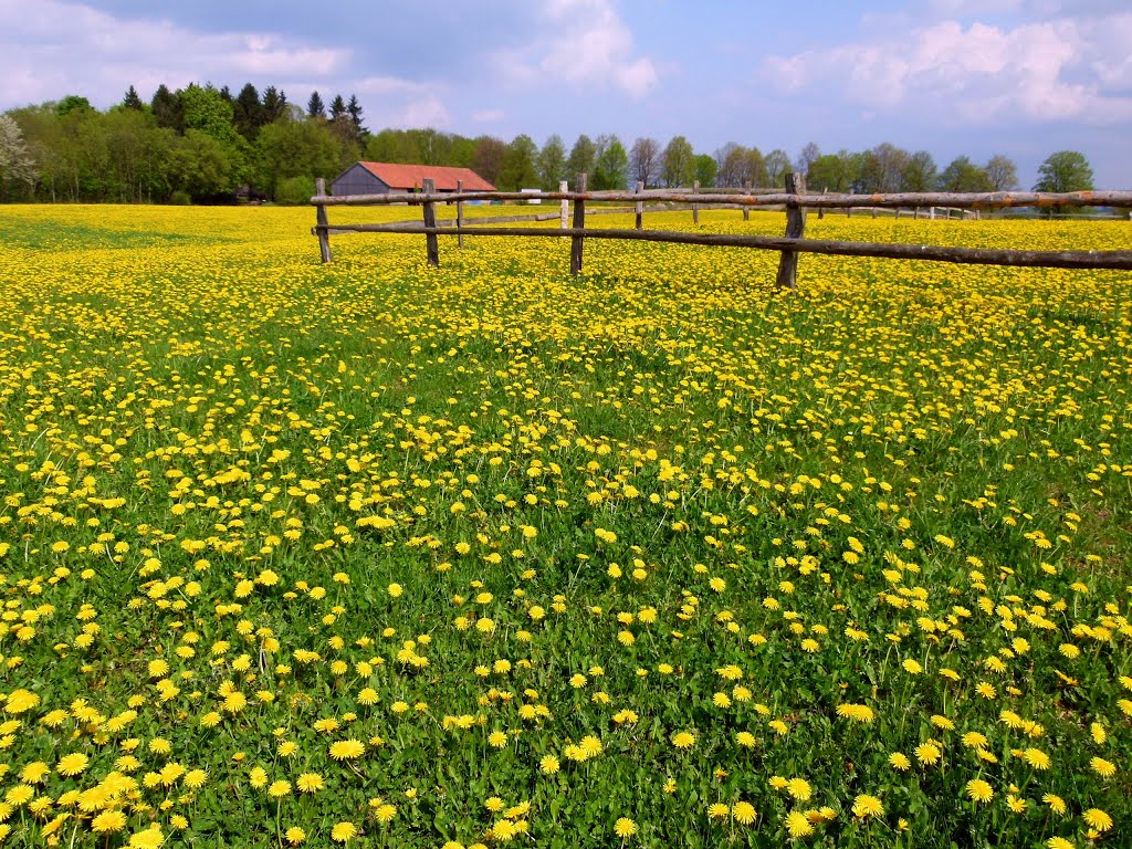 Die Natur hat die schönsten Farben