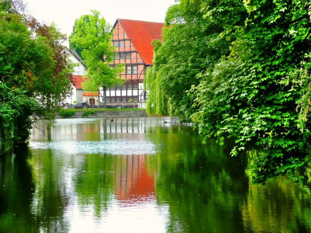 Schlossteich in Detmold