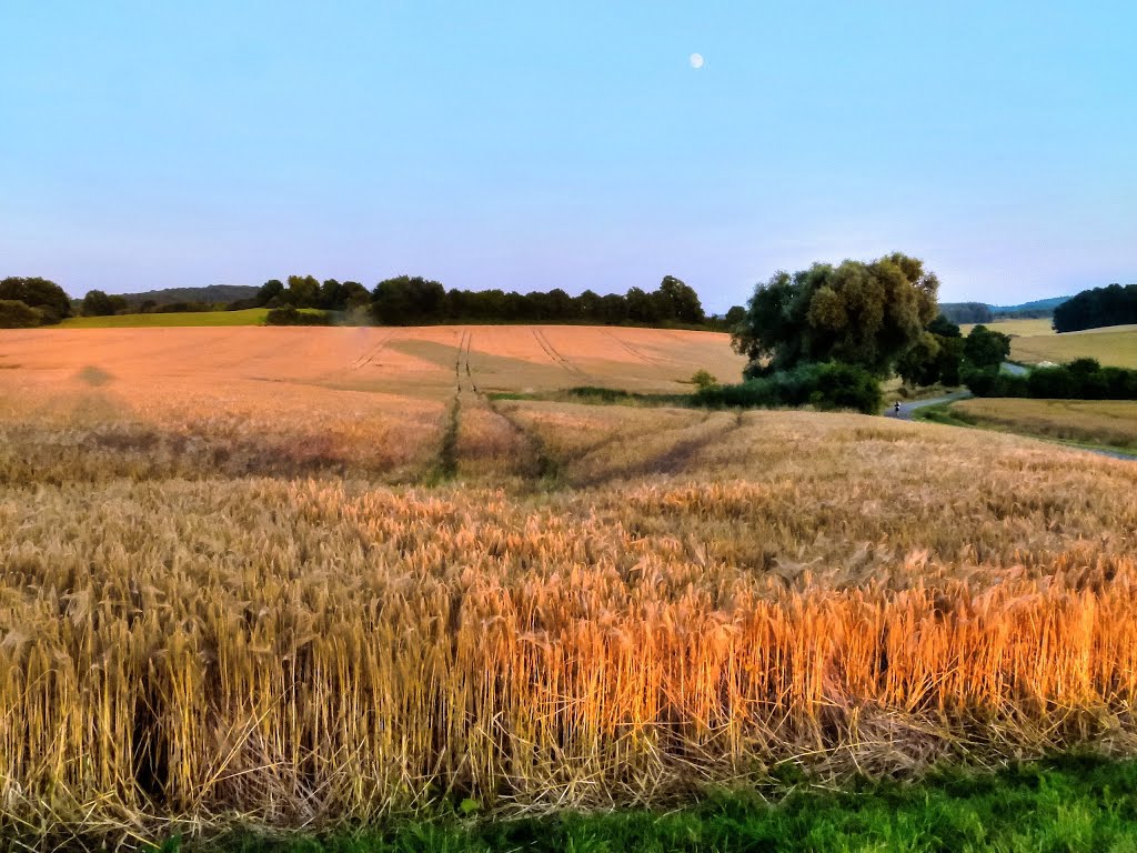 Kurz vor Sonnenuntergang