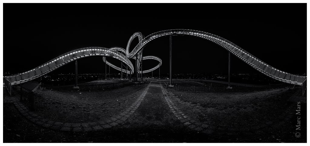 Tiger & Turtle