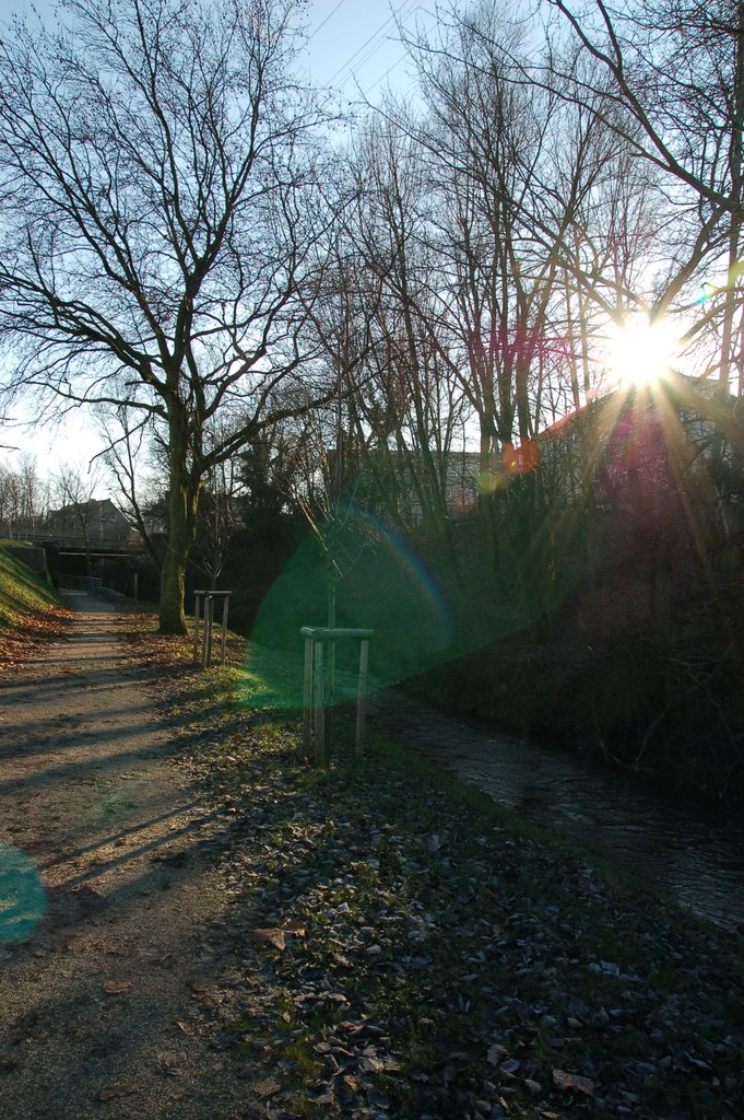 Angerbach - Weg zum Rheinportal