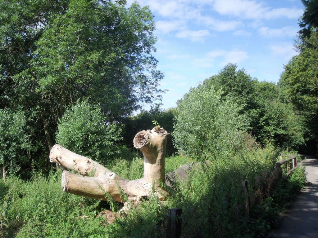 Am Biegerhof