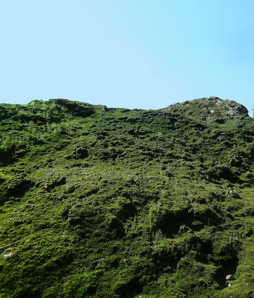 Wilde Landschaften im Duisburger Süden
