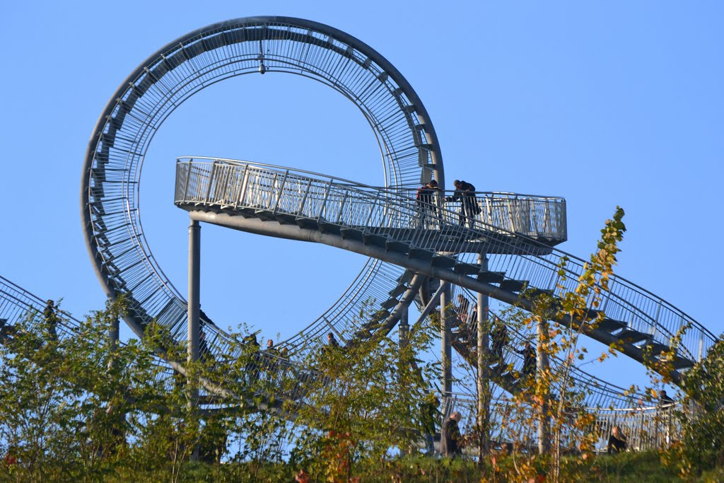 Tiger&Turtle