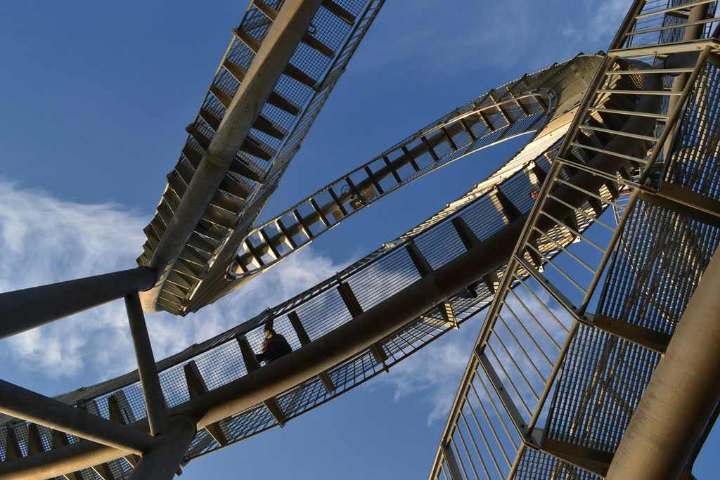 Tiger&Turtle