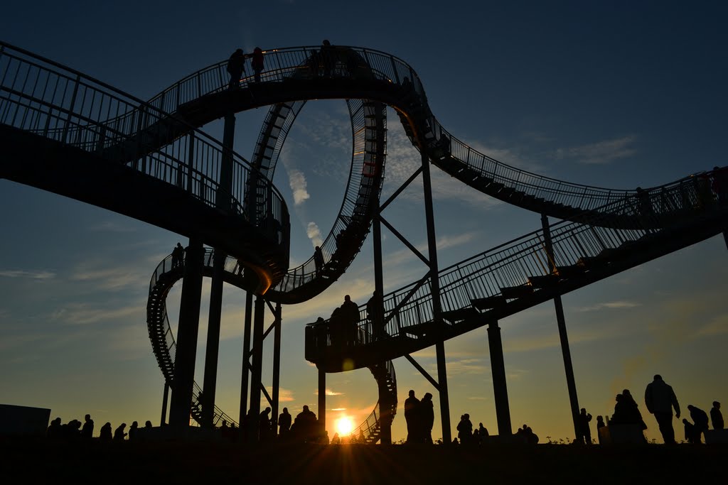 Tiger&Turtle