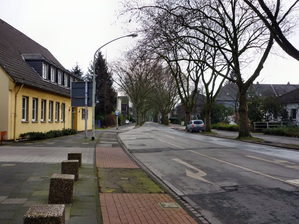 Schulz-Knaudt-Str. (Duisburg-Hüttenheim) / 28.01.2012