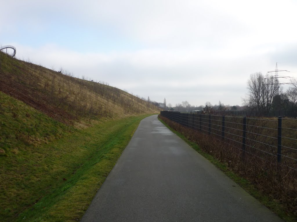 Weg am Fuße der Heinrich-Hildebrand-Höhe (Duisburg-Wanheim-Angerhausen) / 28.01.2012