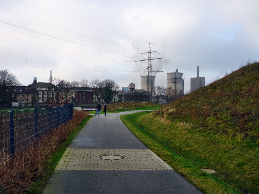 Angerpark (Duisburg-Wanheim-Angerhausen) / 28.01.2012