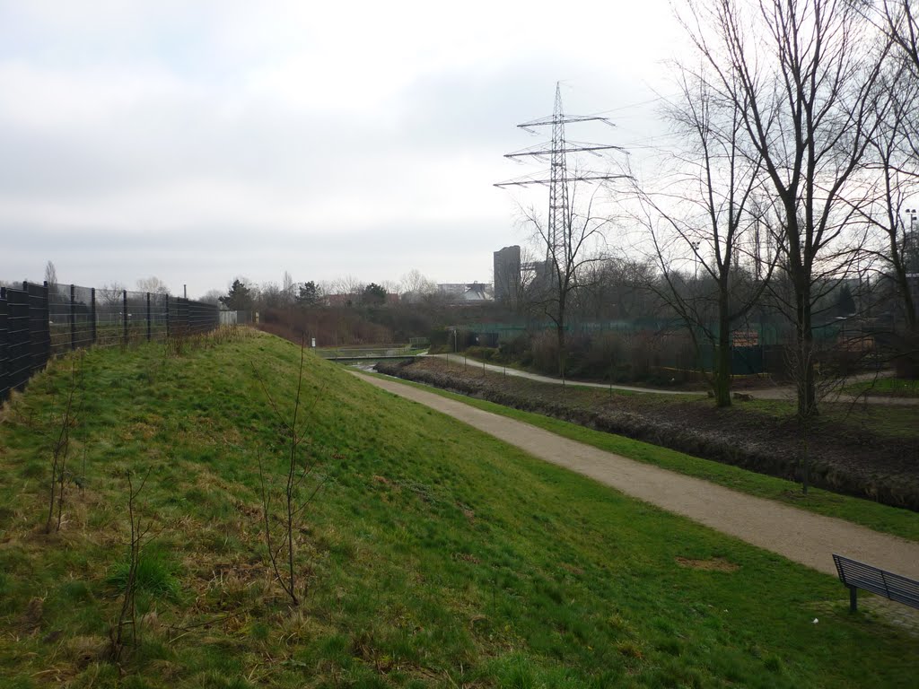 Weg am Angerbach (Duisburg-Wanheim-Angerhausen) / 28.01.2012