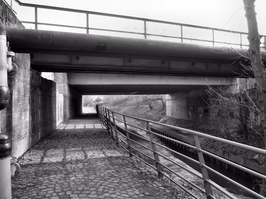Brücken der Ehinger Str. und der HKM-Anschlußbahn (Duisburg-Wanheim-Angerhausen) / 28.01.2012