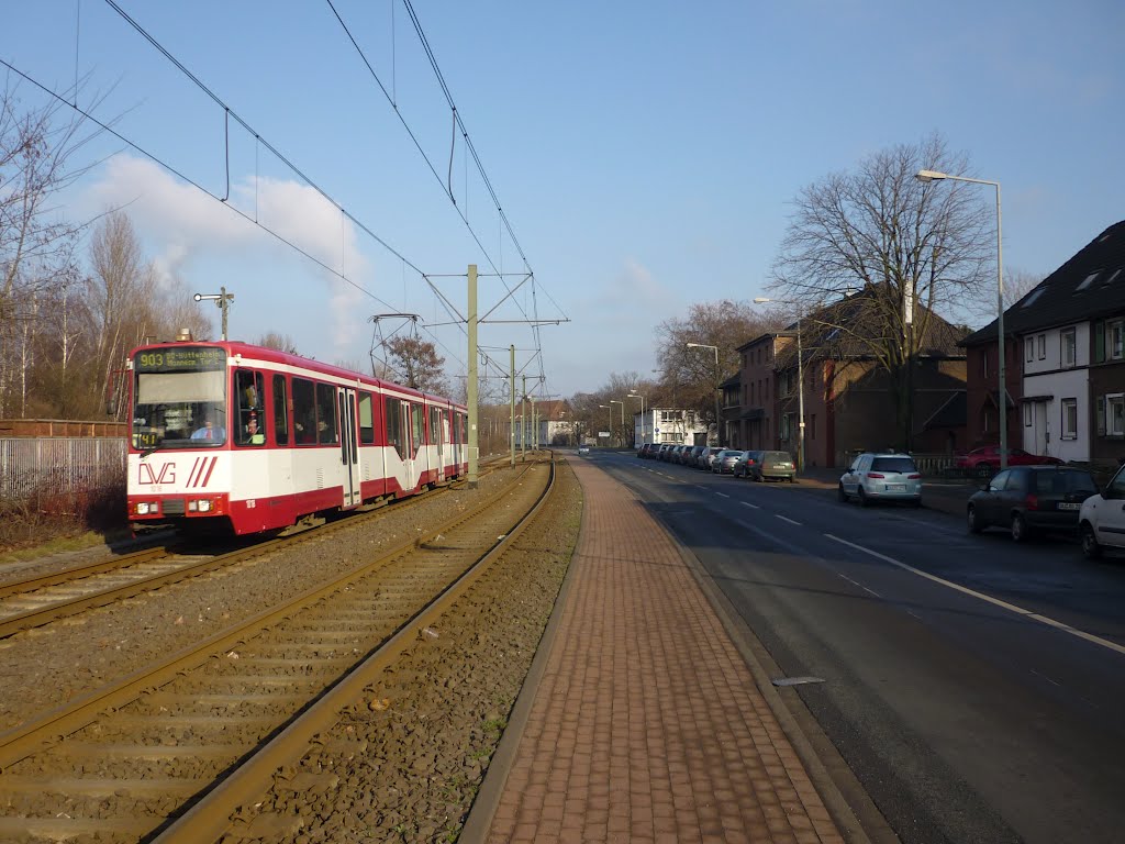 An der Straßenbahntrasse neben der Ehinger Str. (Duisburg-Hüttenheim) / 28.01.2012