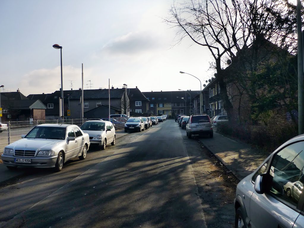 Klettenweg (Duisburg-Hüttenheim) / 28.01.2012