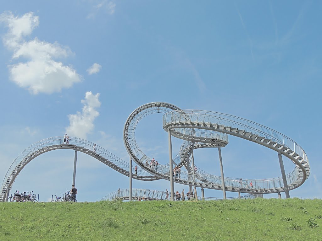 Tiger&Turtle