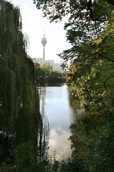 Looking towards the Rhine Tower