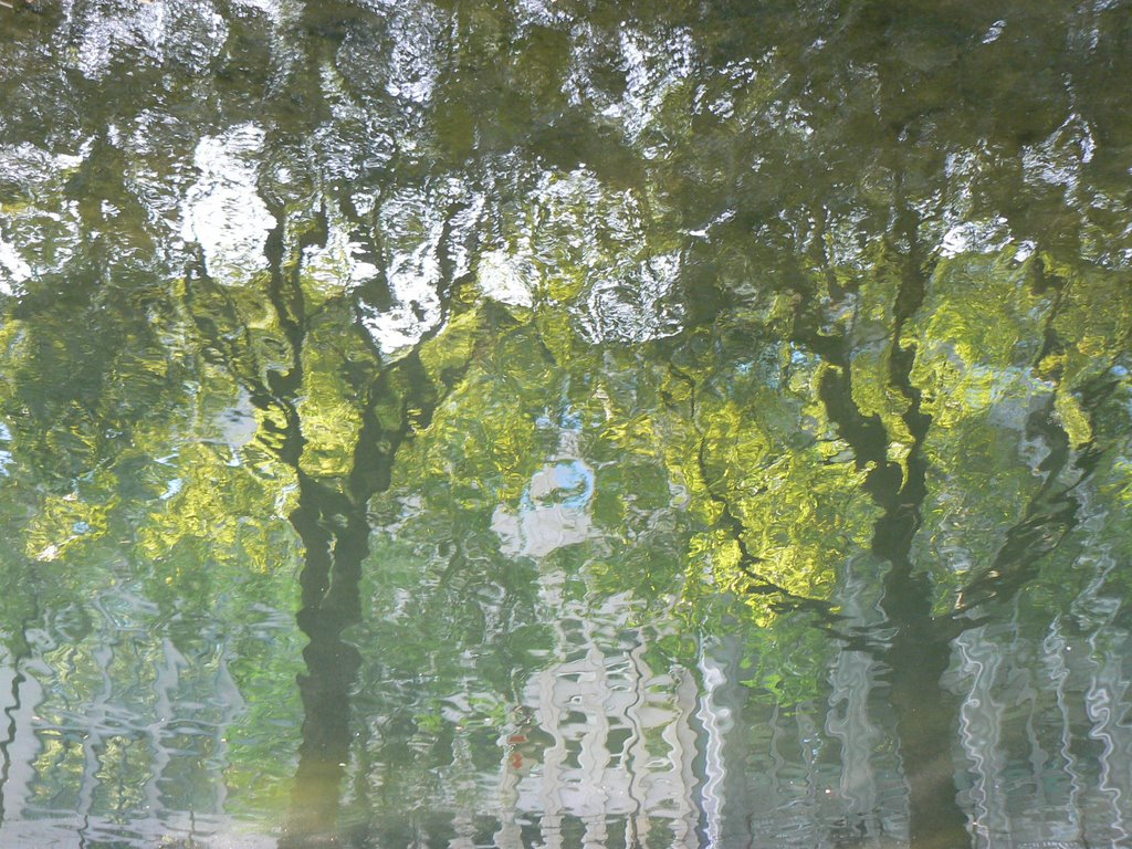 Düsseldorf - Glares on the water