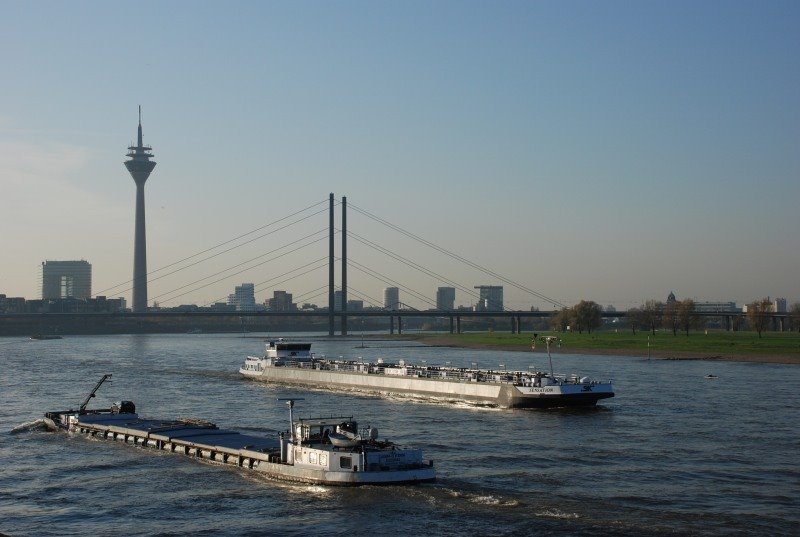 Blick auf den Rhein