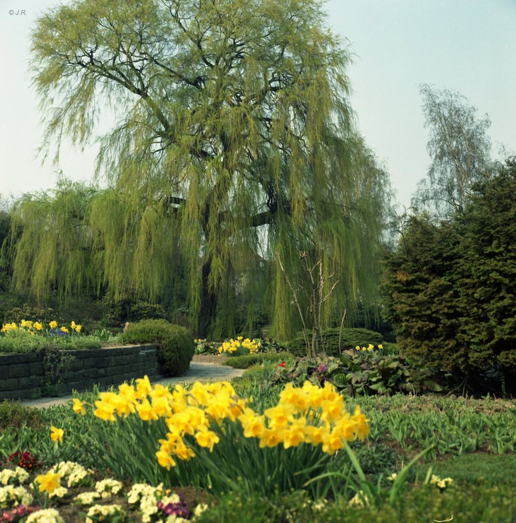 Gustav-Coppel-Park (früher "Park Am Kannenhof") im Jahr 1976, Solingen