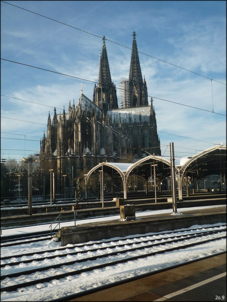 Der Dom zu Köln 2009