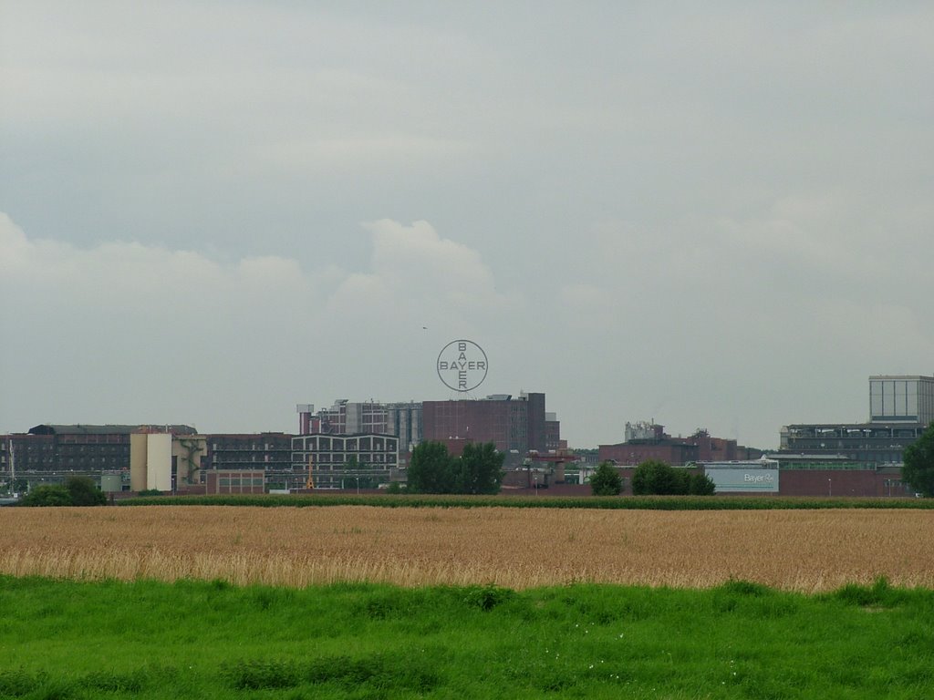 Krefeld Uerdingen, Bayer-Werke