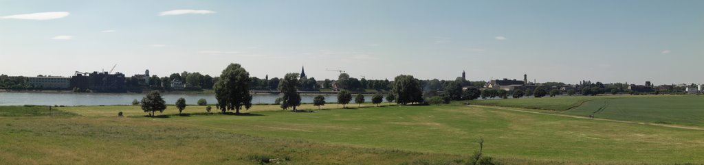 Panoramablick über die Rheinauen