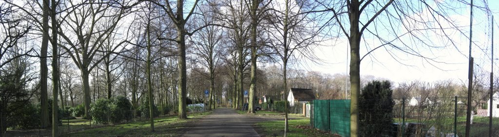 Spazierweg zwischen Friedhof und Gartenbauverein