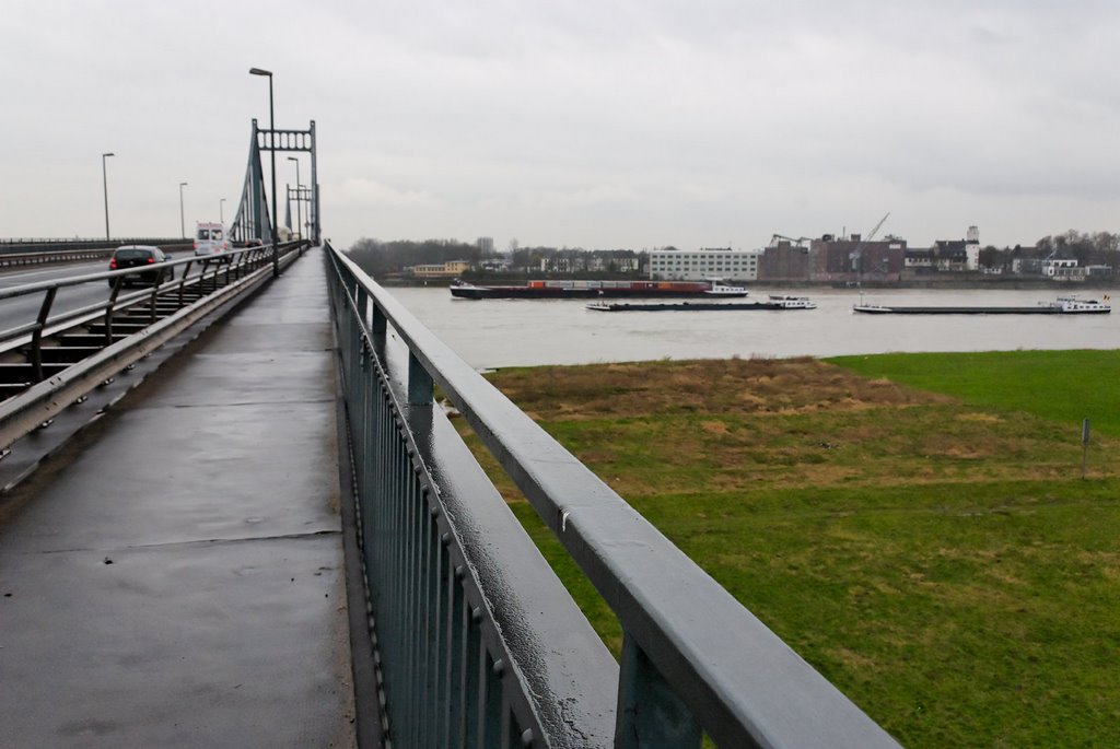 Über dem Rhein