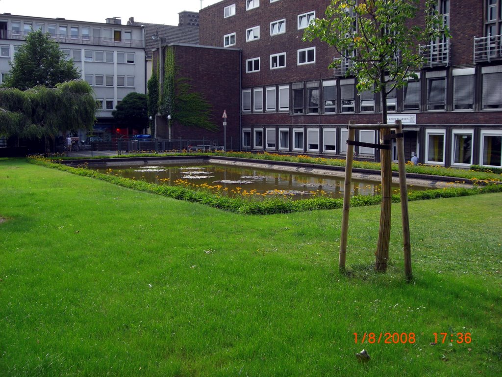 Wiesdorf