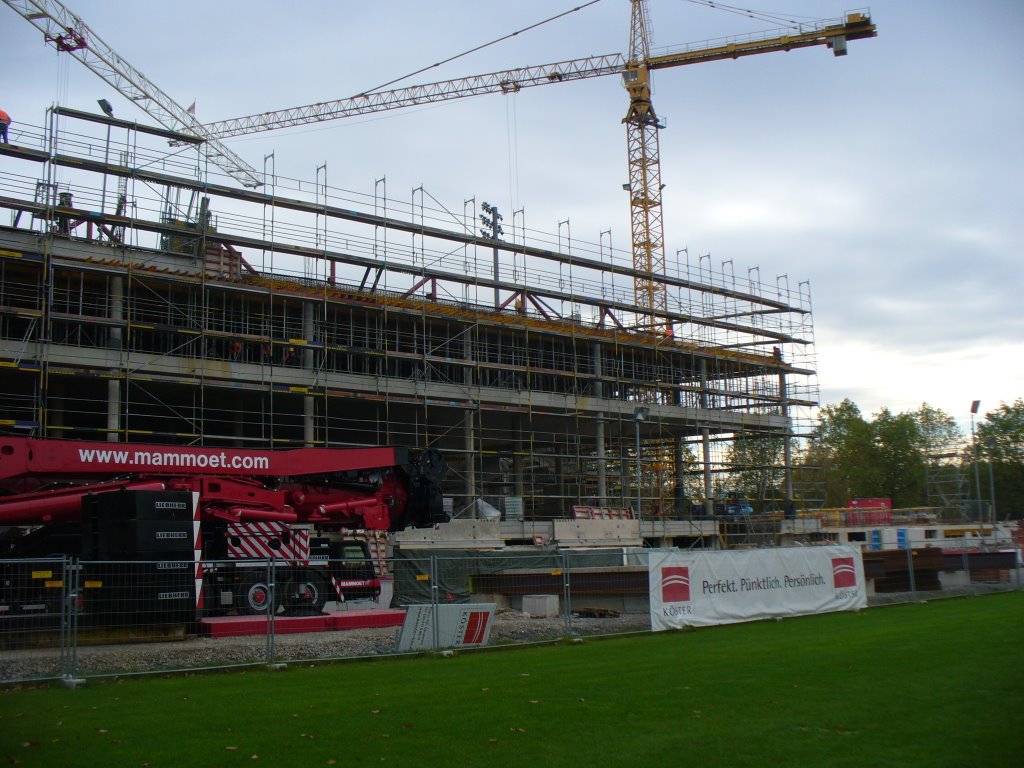 Umbau BayArena Leverkusen 24.10.2008 (13958)