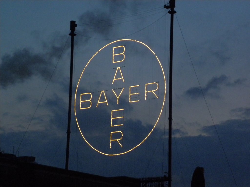 Bayer Kreuz