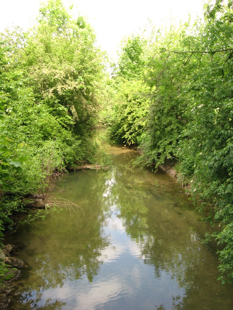 Seitenkanal, Im Grünen Winkel