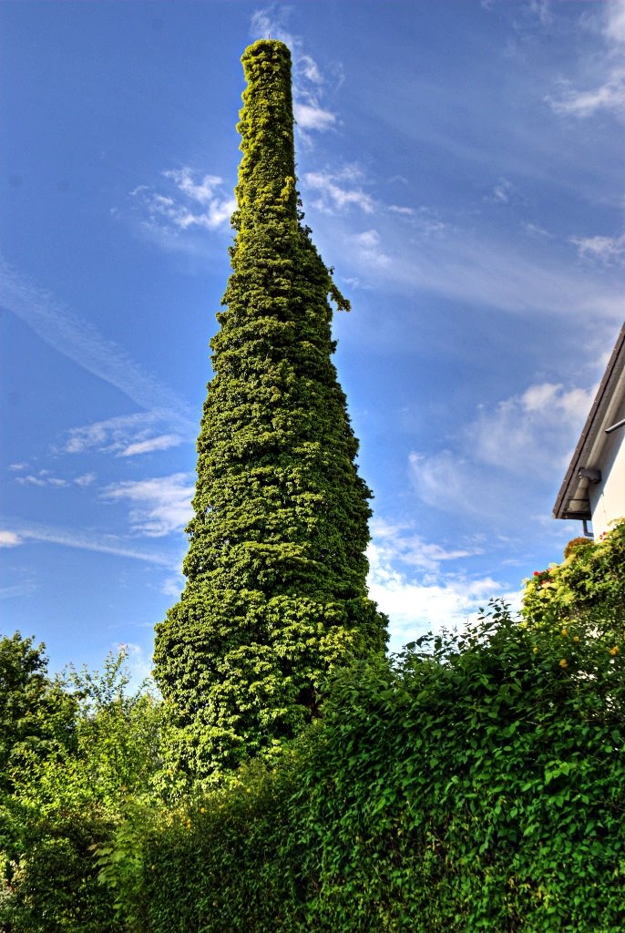 Mit diesem Schornstein ist die Natur noch nicht ganz fertig, aber sie ist auf einem guten Weg