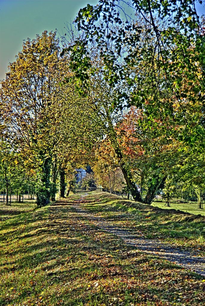 Herbstimpression