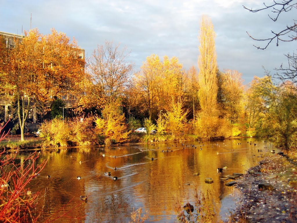 Lippstadt Grüner Winkel im Herbst