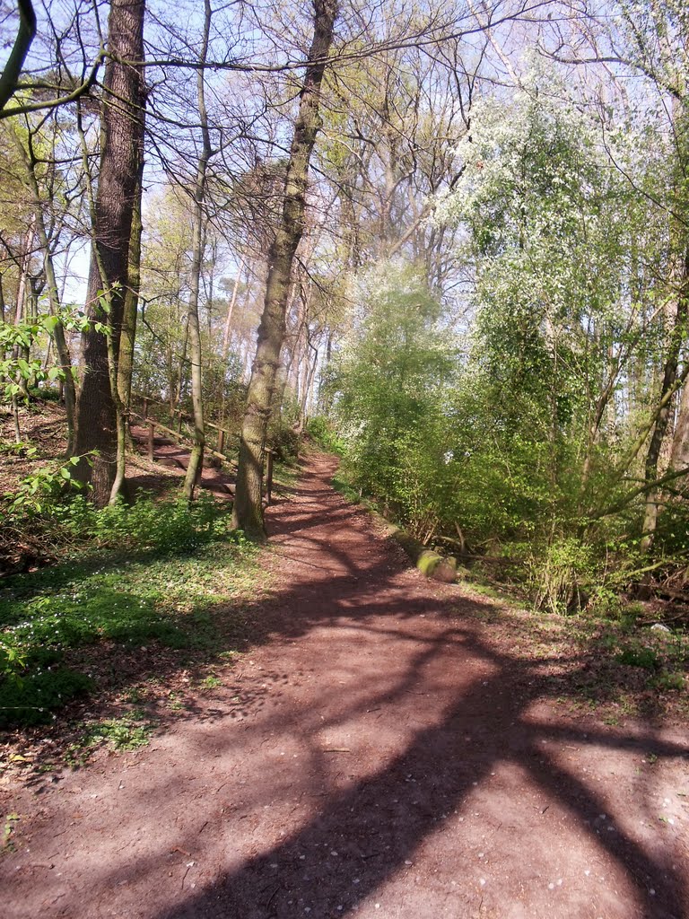 Waldweg