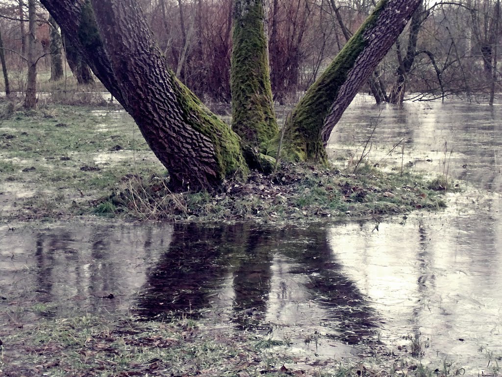 Eiszeit