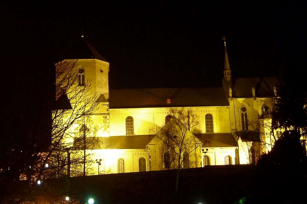 Das Münster bei Nacht