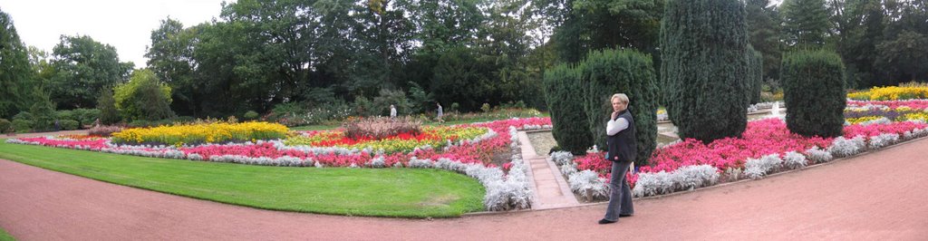 Ein wahres Blumenmeer