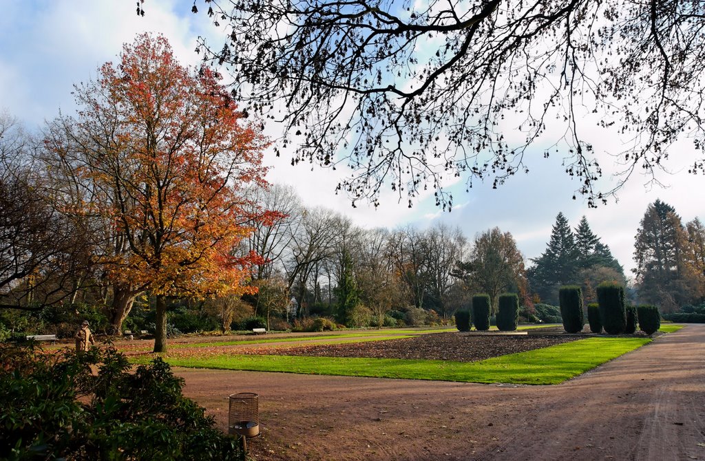 Bunter Garten Herbst 2007