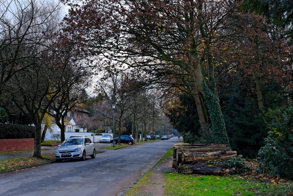 Lettow-Vorbeck-Straße