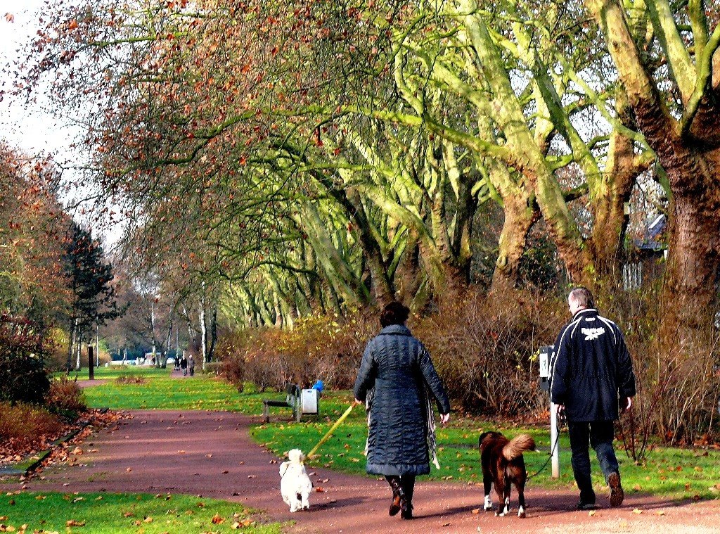 Gassigang in der Peter-Nonnenmühlen-Allee