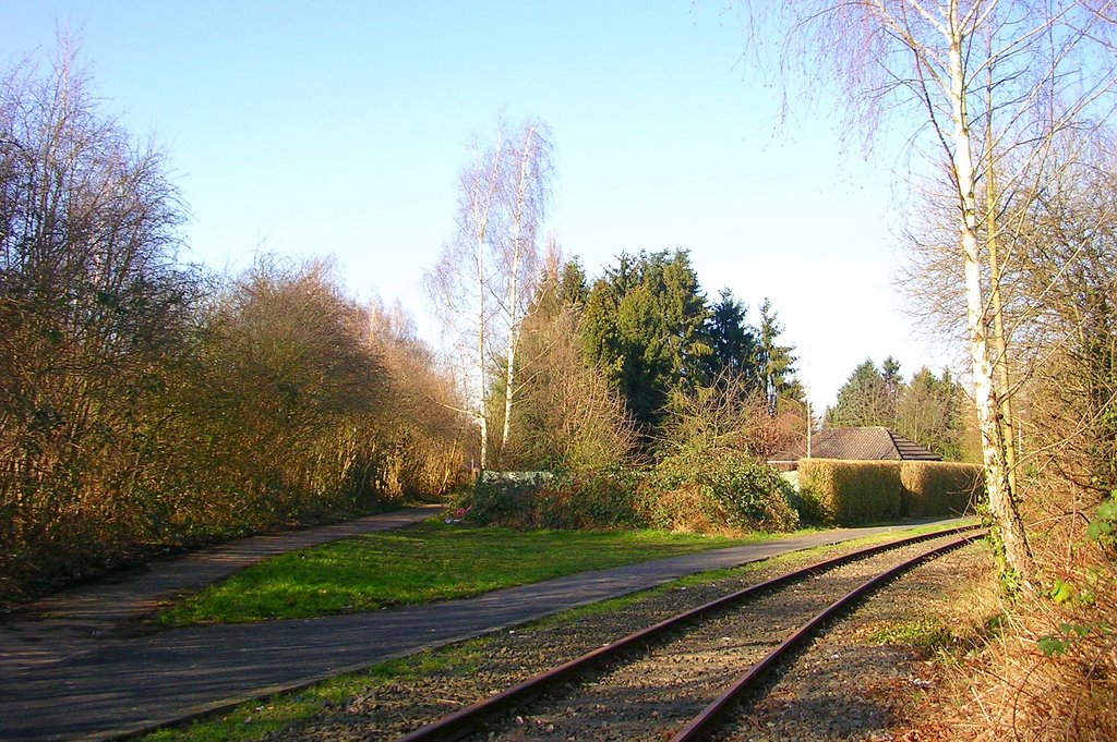 Tracks and paths