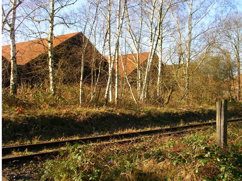 Old tracks and buildings