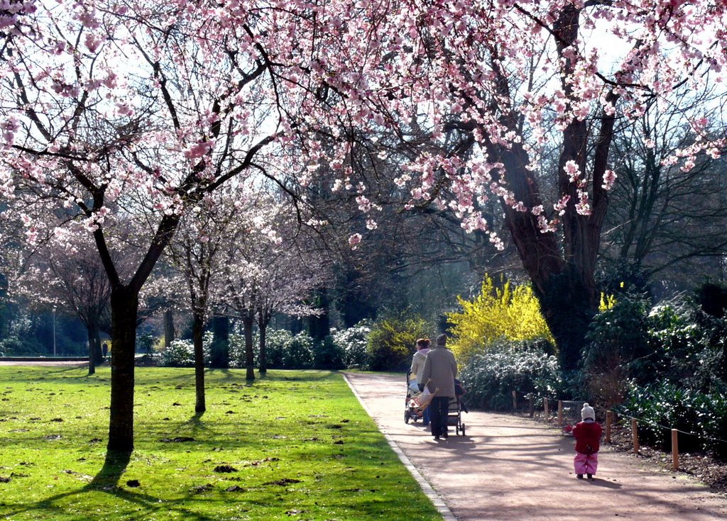 Sonntag im Park