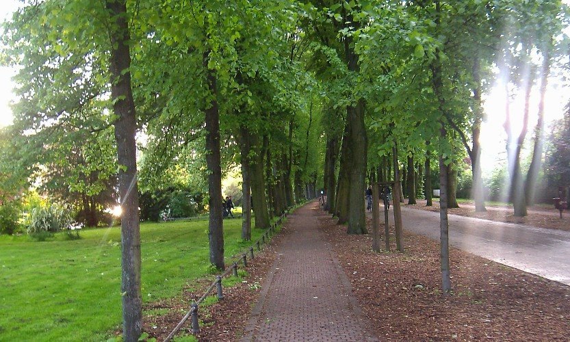 06.05.2005 Münster